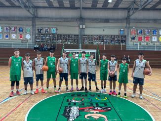 WhatsApp Image 2026-01-31 at 19.51.14