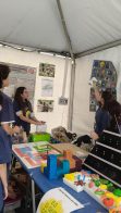 dia-ciencia-calle-liceolapaz-18