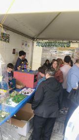 dia-ciencia-calle-liceolapaz-53