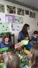 dia-ciencia-calle-liceolapaz-54