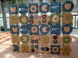 mocidade-polo-clima-liceolapaz-07